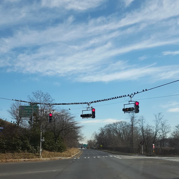 Meet your Posher, Paulie - Picture 1 of 1